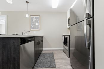 Stainless steel appliances